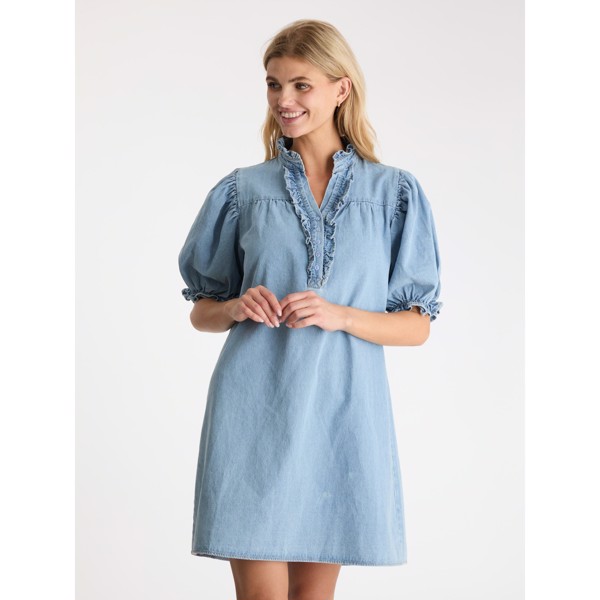 Alma Denim Dress