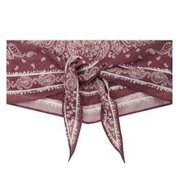 Kinessa Paisley Scarf